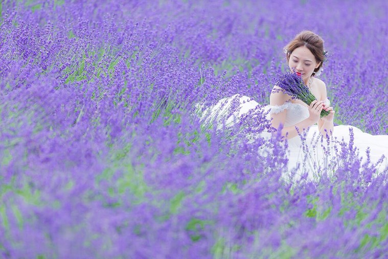 Tour Nhật Bản Bay Thẳng Hokkaido - Sapporo - Otaru - Furano - Asahikawa 6N5D từ Hà Nội